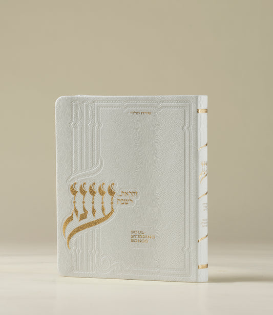 עונג זמירות - כריכה רכה בינונית - Oneg Zemiros - Softcover Medium